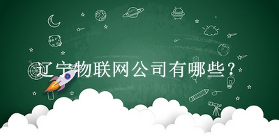 遼寧物聯網公司